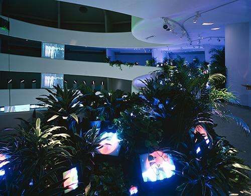 Name June Paik's TV Garden at the Guggenheim Museum in New York.