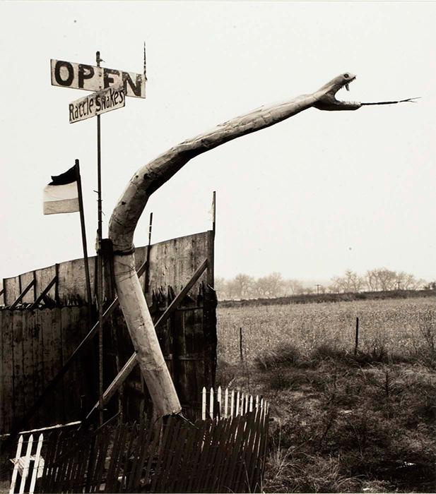 A photograph of a snakebite sculpture in Oklahoma. 