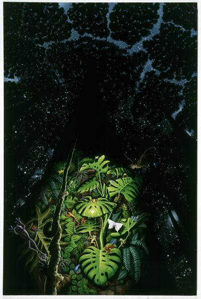 Rockman's oil painting of a jungle in the rain forest beneath a tree at twilight.