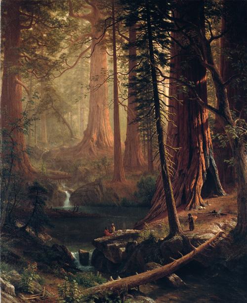 Beirstadt's oil on canvas of redwood trees in California. 