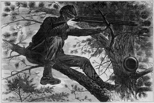 Homer's wood engraving on paper of a sharpshooter in a tree.
