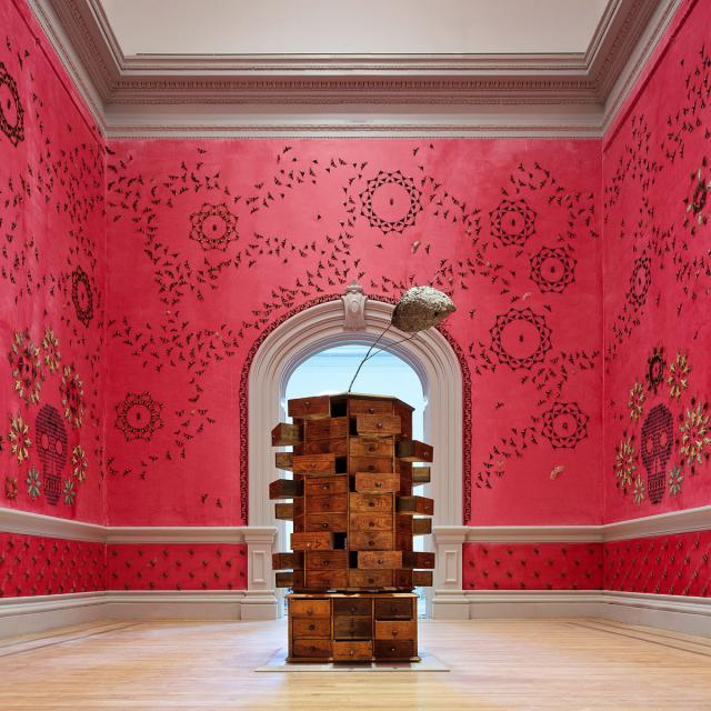 A gallery shot of Jennifer Angus' pink room with bugs.