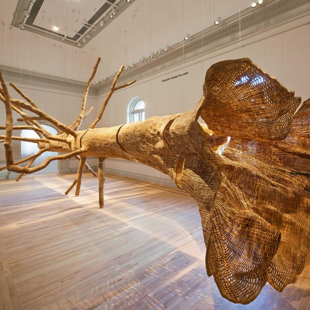 A gallery shot of John Grade's tree.