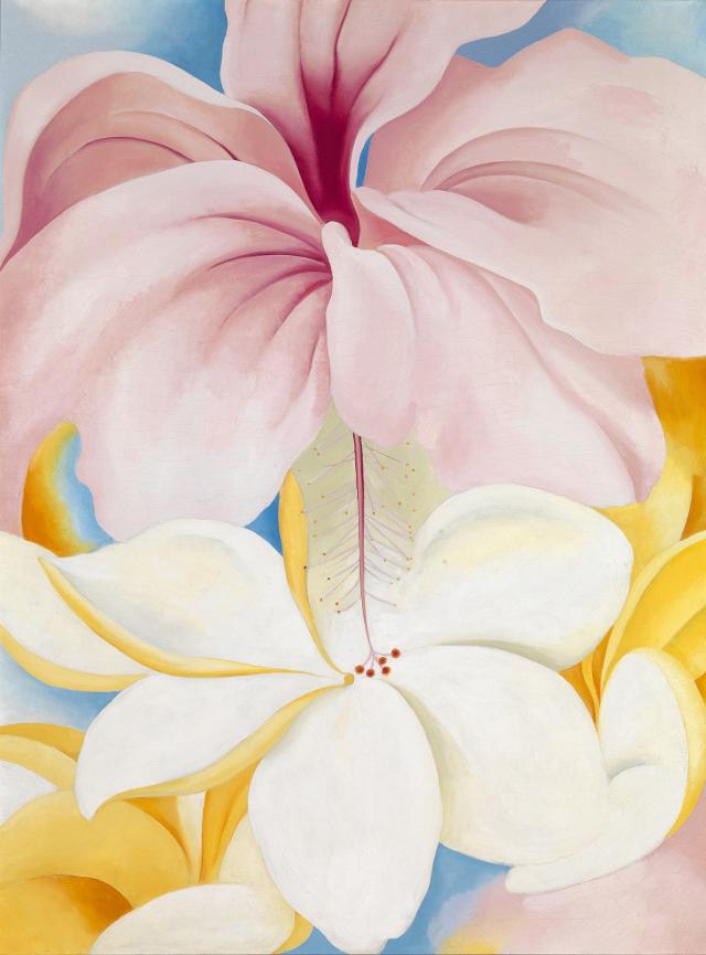 A pink and white flower with yellow in the background. 