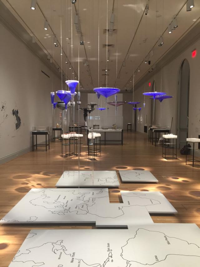 In gallery photograph of blown glass hanging from the ceiling. 