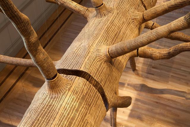 A detailed photograph of a tree inside of a room.