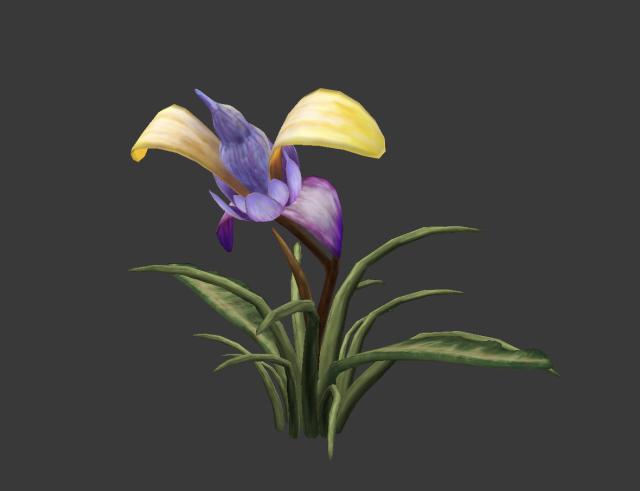 A digital reproduction of a flower.