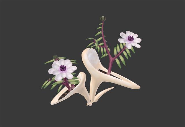 A digital reproduction of two flowers.