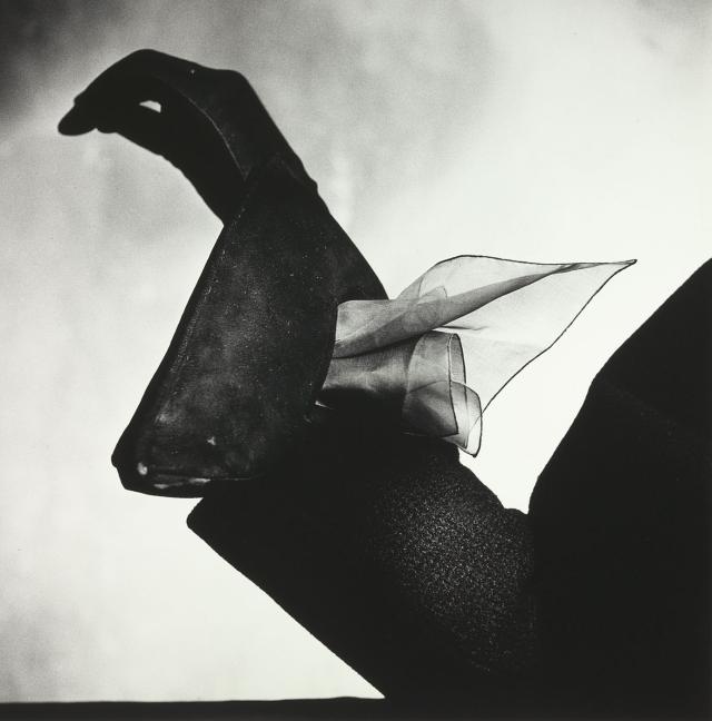 A detailed black and white photograph of a hand with a glove.