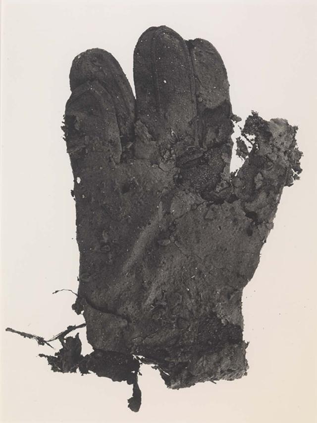 A photograph of a glove.