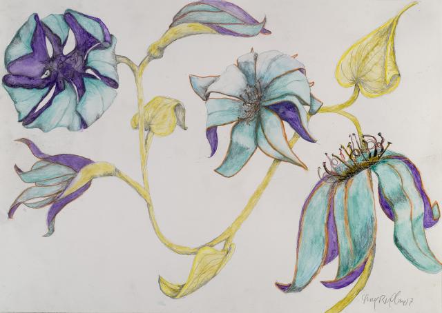 A drawing of four blue and purple flowers.