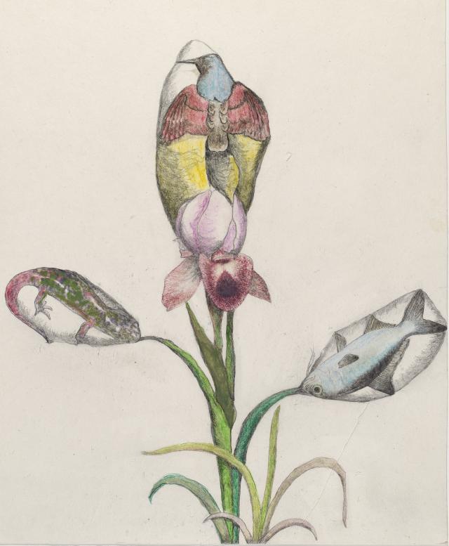 A drawing of a flower.
