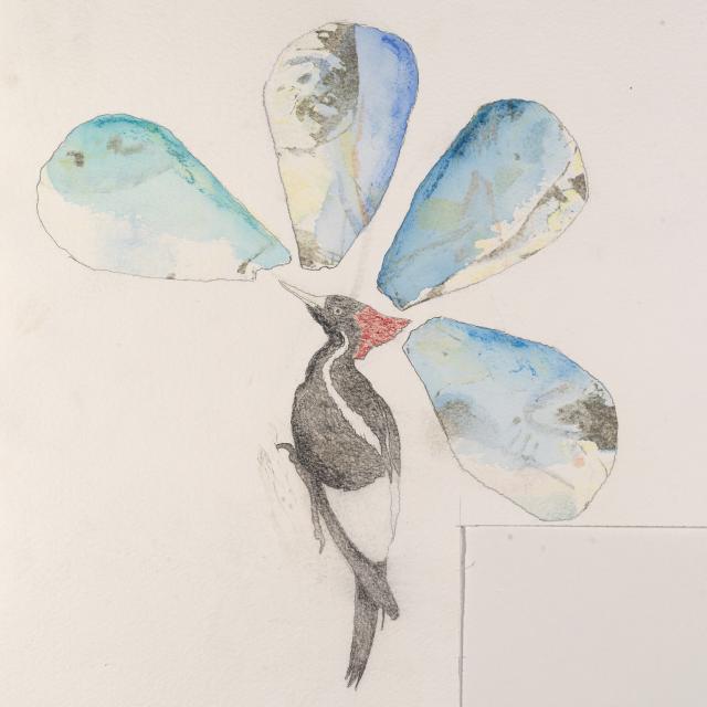 A drawing of a flower with a woodpecker as the stem.