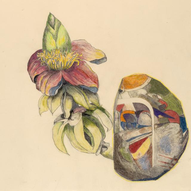 A drawing of a flower.