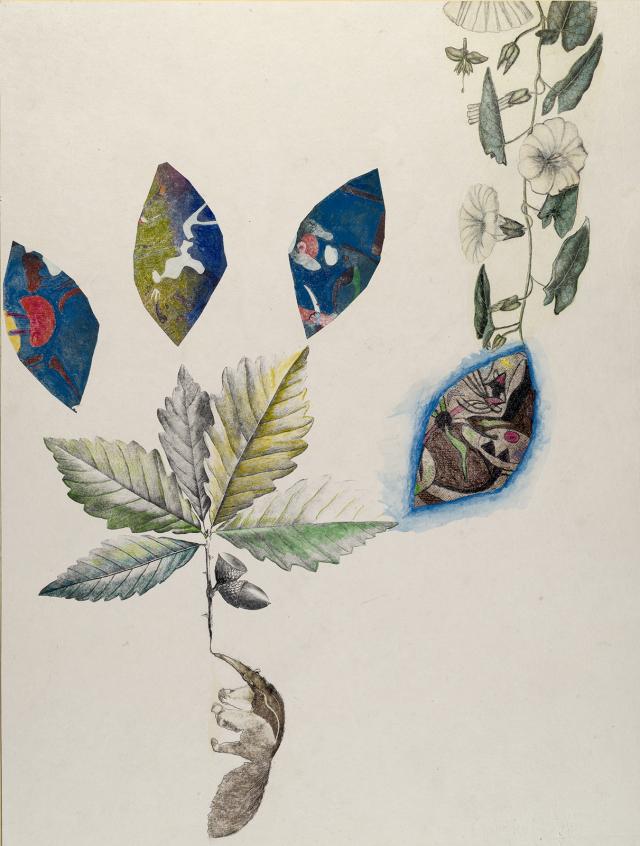 a drawing of a flower.