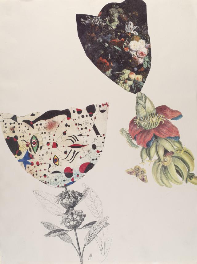 A drawing of two flowers.