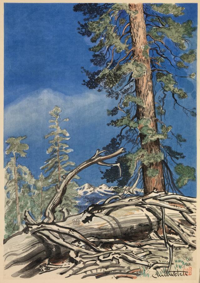 A watercolor of a fallen tree with trees and the blue sky in the background. 