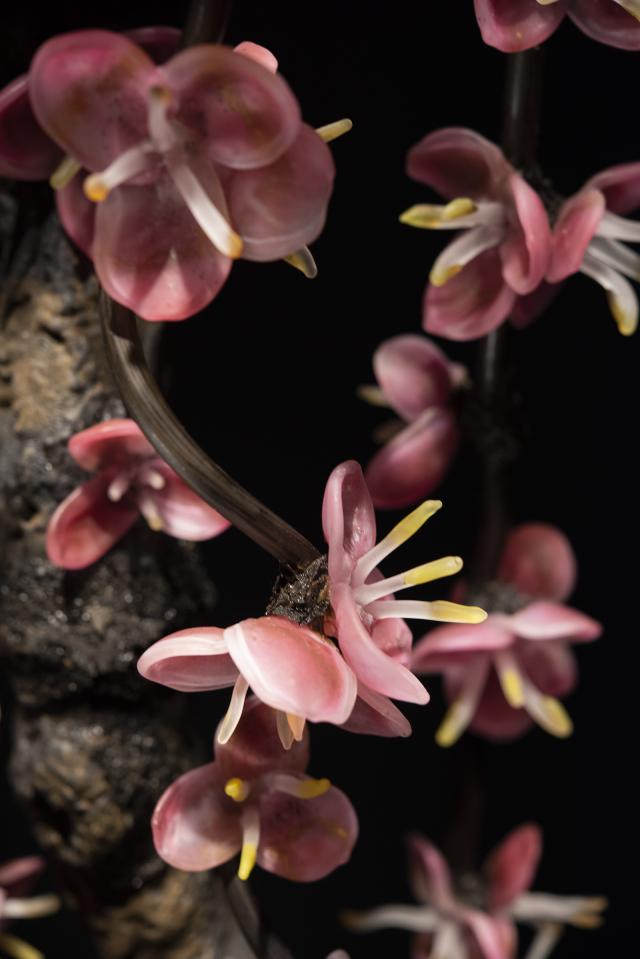 A detail of an artwork that looks like a flower