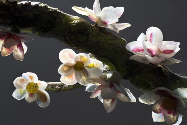 A detail of an artwork that looks like a flower