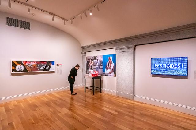 A photograph of a person looking at artwork