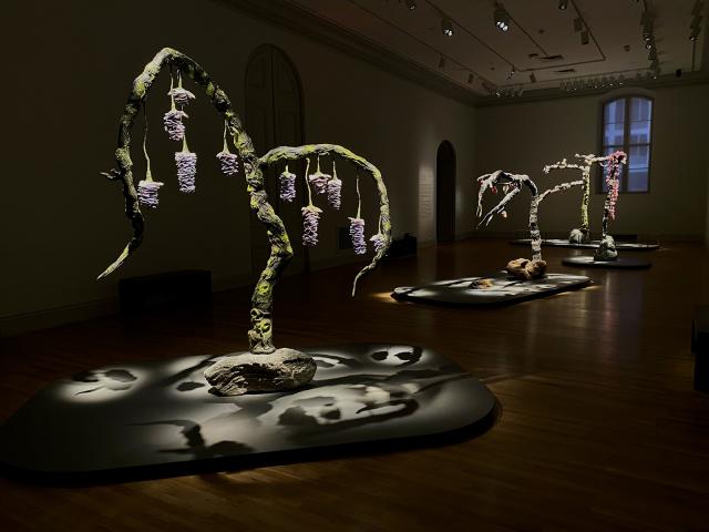 An installation photograph of trees