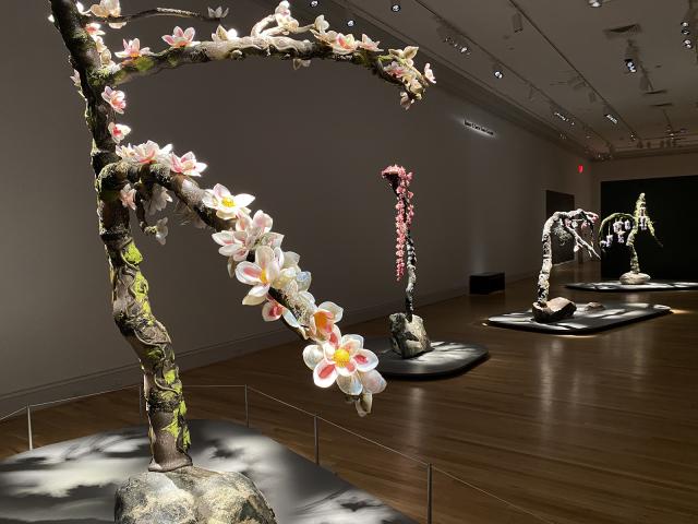An installation photograph of trees