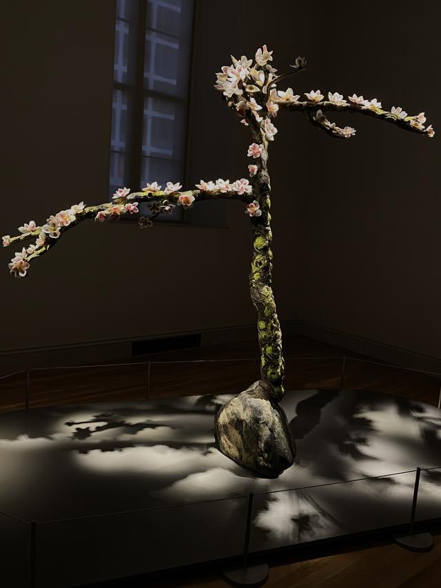 An installation photograph of trees