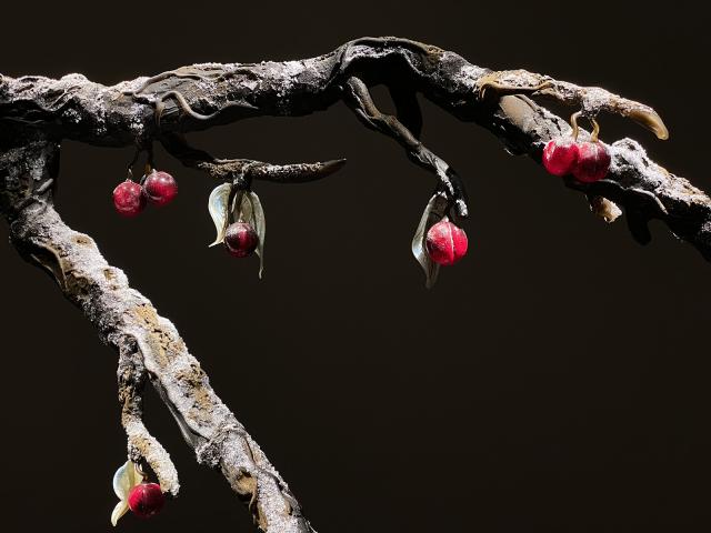 An installation photograph of a tree made of glass with red balls