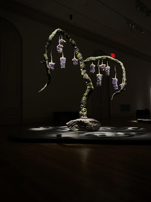 An installation photograph of a tree