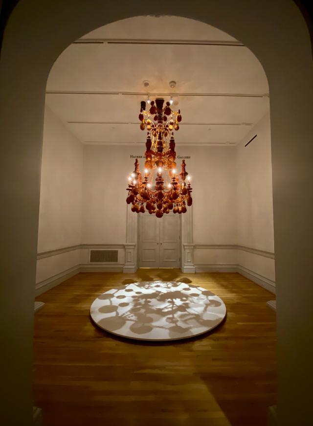 An installation photograph 
