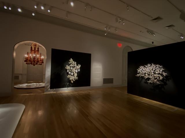 An installation photograph 