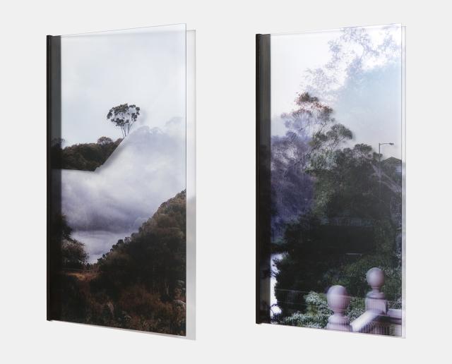 Two artworks next to each other on the wall in a gallery.