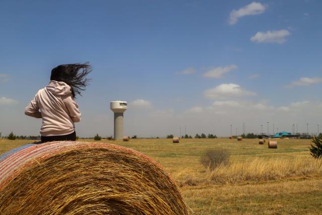 Photo of Person sitting on Bale of Hay.