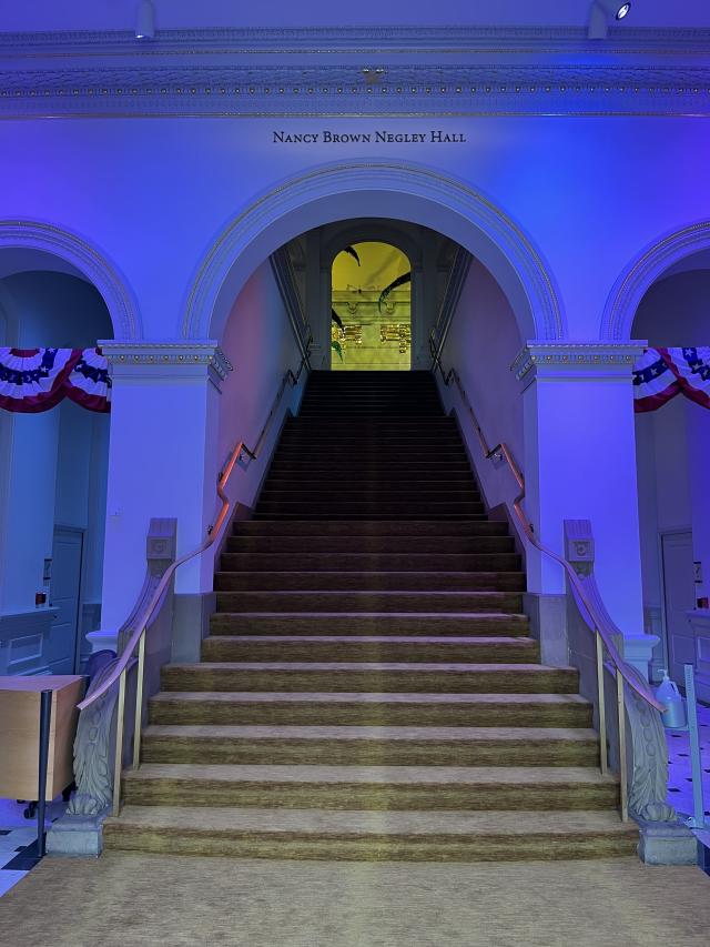 photo of stairs leading to Grand Salon