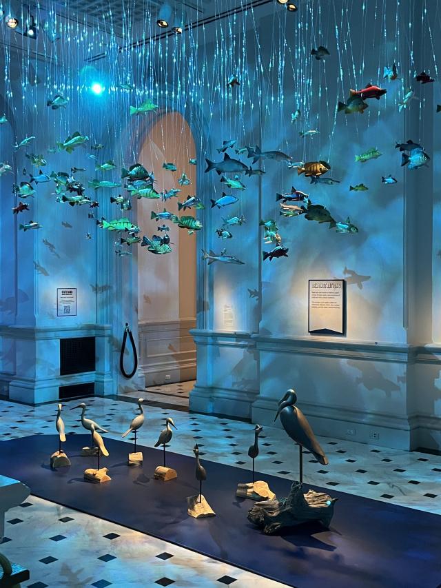 Photo of the Decoy Room