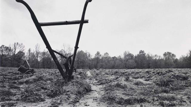An gelatin silver print of a muddy field with a farming tool.