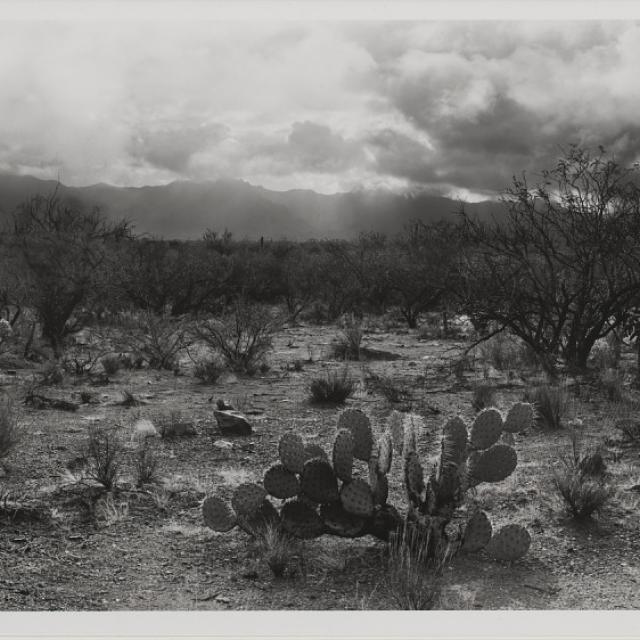 Media - 2011.52.1 - SAAM-2011.52.1_1 - 79791