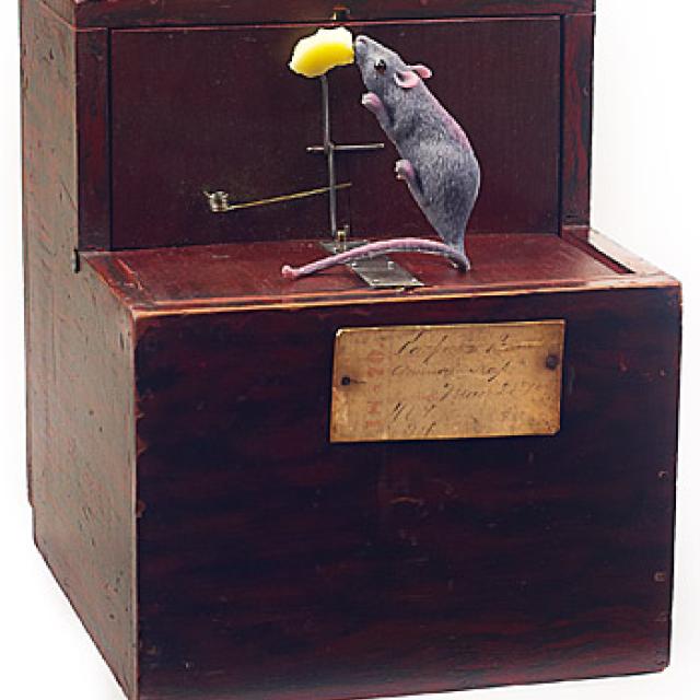Blog Image 306 - Mousetrap 101: Patents and Innovation with Collector Alan Rothschild