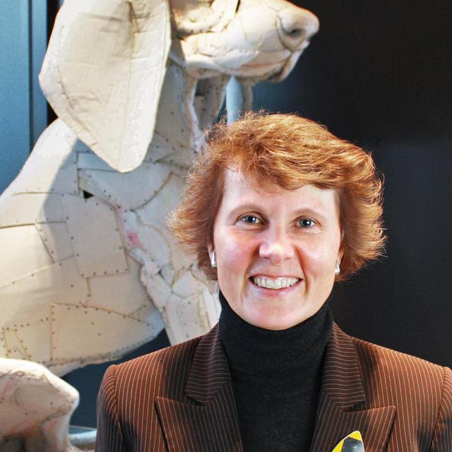 Blog Image 487 - Stephanie Stebich Appointed New SAAM Director