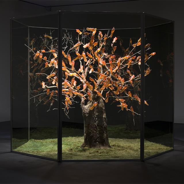 A photograph of an artwork that resembles a tree. 