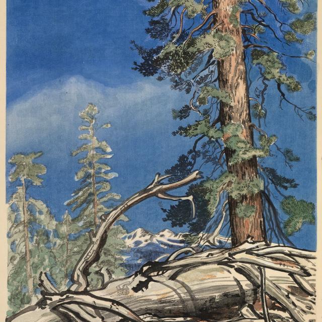 A watercolor of a fallen tree with trees and the blue sky in the background. 