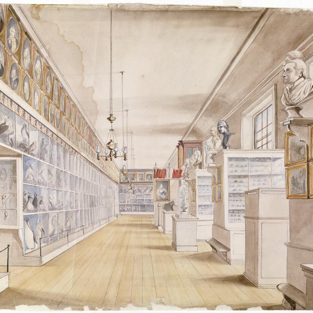 A drawing of a room.