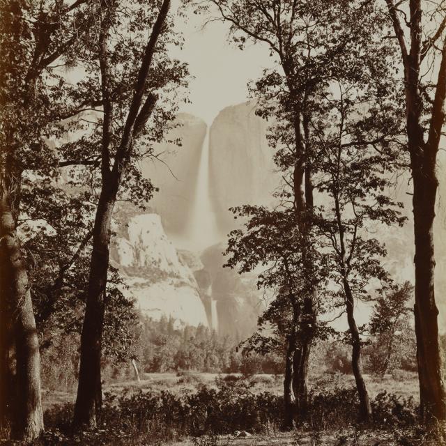 A photo of trees and a waterfall