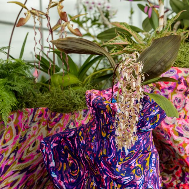 A close up image of a white orchid in a multicolored container featuring an abstract design with purple, blue, yellow, pink and white colors. In the background are green plants held in matching multicolored containers featuring an abstract design in pink, white, purple and gold colors.